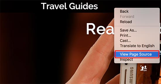View page source of a WordPress website