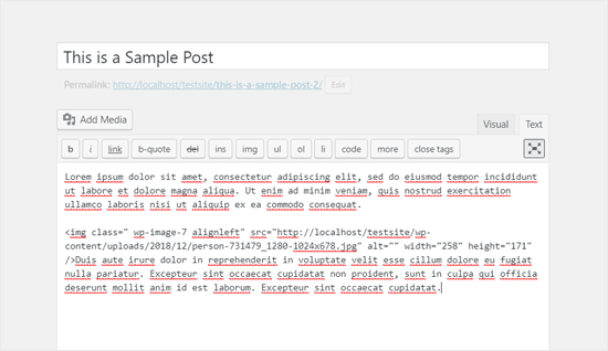 Fullscreen Classic WordPress Editor in Text Mode