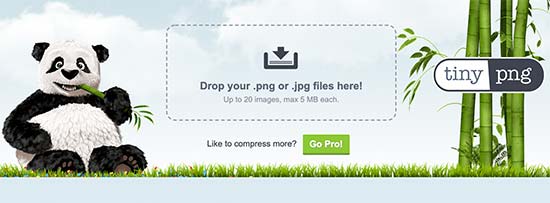 Using TinyPNG to optimize images for WordPress