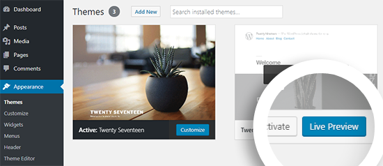 WordPress Theme Live Preview Option