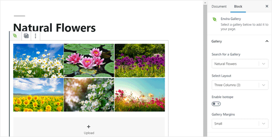 Envira Gallery Added to WordPress Post Editor