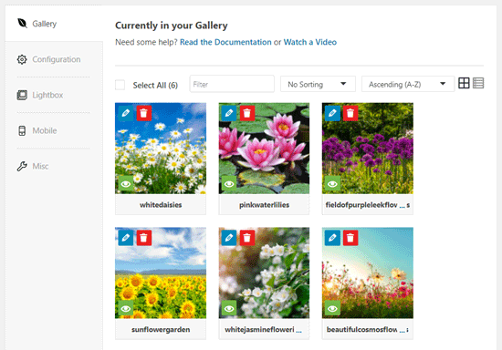 Images in Envira Gallery Builder