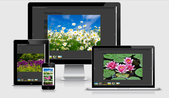 Responsive WordPress Photo Gallery