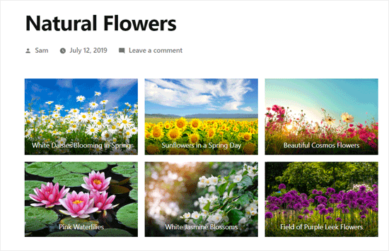 Preview of WordPress Photo Gallery Using Default Gallery Block