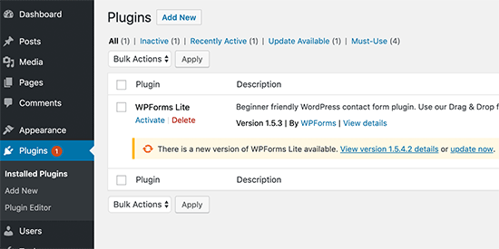 Update WordPress plugins