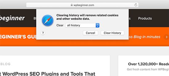 Clearing history in Safari