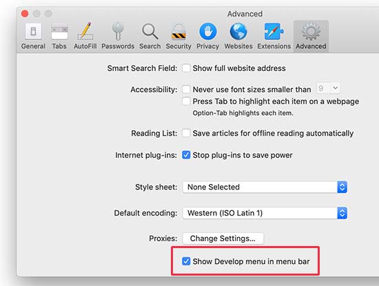 Enable Develop menu in Safari