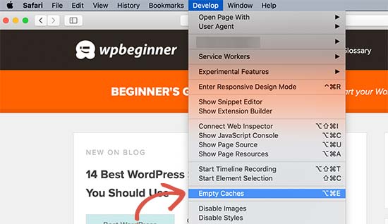 Safari emptying cache in the developer mode