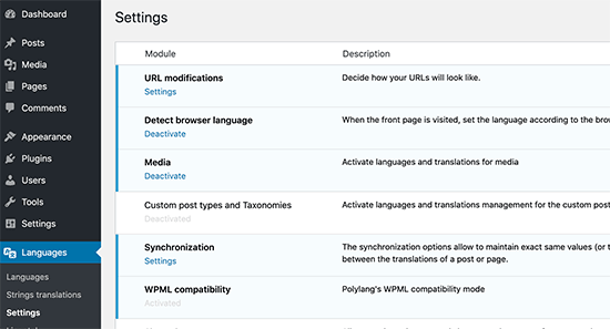 Polylang settings