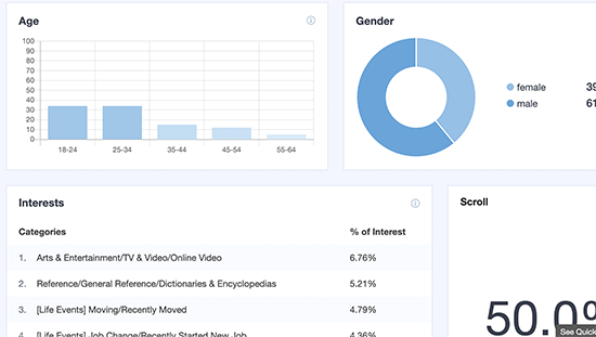 Demographic data in MonsterInsights