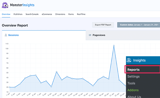 MonsterInsights reporting dashboard