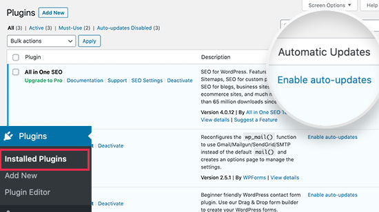 Enable automatic updates for WordPress plugins