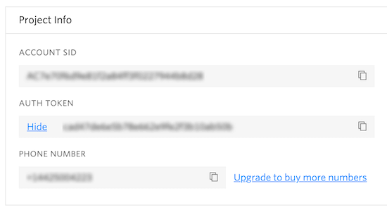 Twilio project info screen